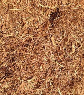 Cedar Toe Bale
