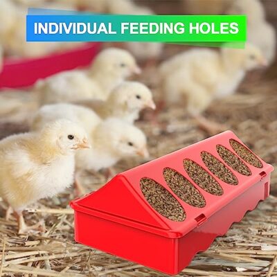 Chick Feeder and Waterer Kit, Chick Feeder Trough and 0.3 Gallon Chick Waterer, No Waste Baby Chick Starter Kit for Chicks, Ducks, and Quail - Image 3