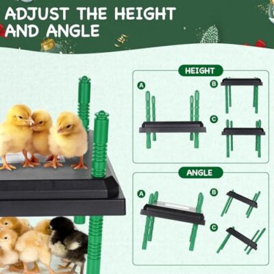 Chick Brooder Heating Plate - 10" x 10" for up to 15 Chicks Chicken Brooder, Adjustable Height Brooder Heater Plate 15 Watts Chick Heater…... - Image 3