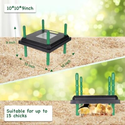 Chick Brooder Heating Plate - 10" x 10" for up to 15 Chicks Chicken Brooder, Adjustable Height Brooder Heater Plate 15 Watts Chick Heater…... - Image 6