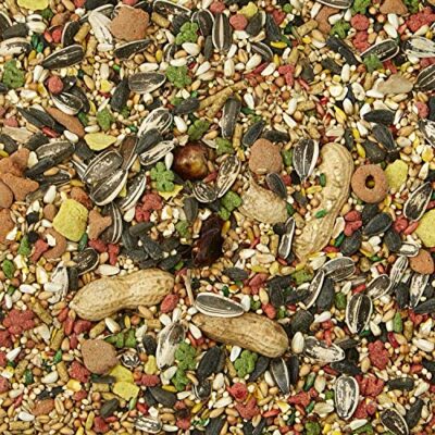 Kaytee Forti-Diet Pro Health Conure and Lovebird Pet Bird Food, 4 Pound - Image 3