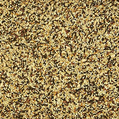 Kaytee Wild Bird Finch Food Blend, 3 lb - Image 5