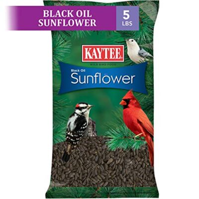 Kaytee Wild Bird Black Oil Sunflower Food, 5 Pounds - Image 3