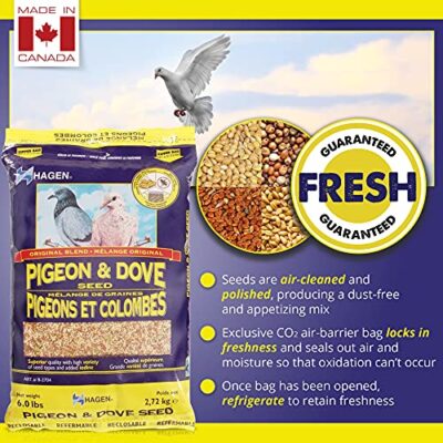 Hagen Pigeon & Dove Seed, Nutritionally Complete Bird Food, original version, 6 Pound (Pack of 1) (B2704) - Image 3