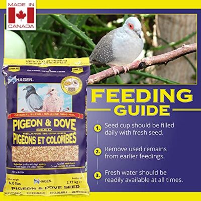 Hagen Pigeon & Dove Seed, Nutritionally Complete Bird Food, original version, 6 Pound (Pack of 1) (B2704) - Image 4